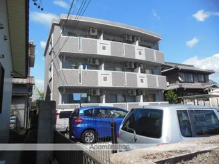 ロリアンの画像