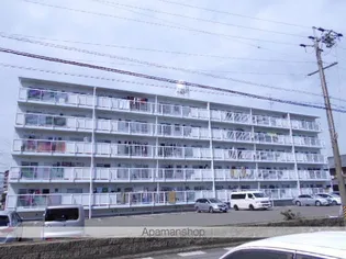 第一三晃マンションの画像