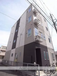 SELENITE日比野の画像