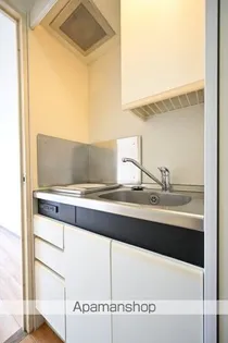 ナイスアーバンスピリッツ鶴見市場Ⅱ芦澤ビル【303号室】のキッチン