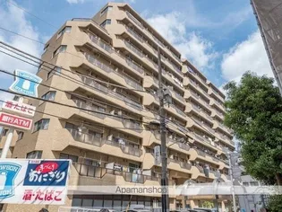 ツイン コートの画像