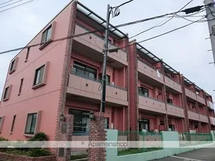 ルネスシーナの画像