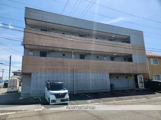 サンフラワーの画像