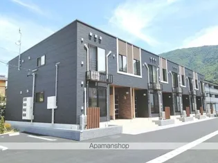 サイプレス フィルの画像