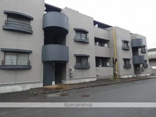 MATSUMOMENT桜井の画像