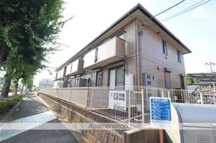 エクセレントマチハタの画像