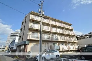 デューク老松の画像