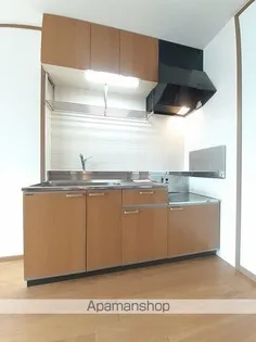 カラジューム雅A【2階】のキッチン