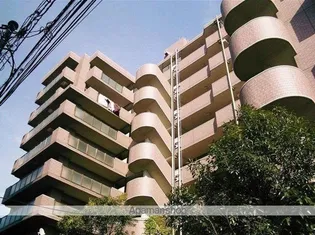 ロイヤルコートときわ台【8階】の外観