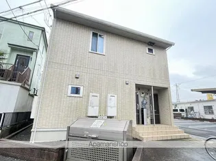 ステラの画像