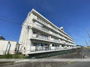 サザンクロスの画像