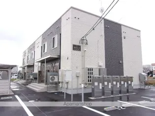 カトレアの画像