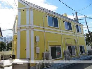 フェリスシャイニーの画像