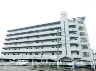 フローラルTSの画像