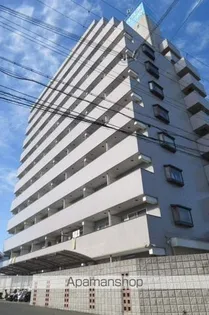 イズミ82の画像