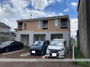 サンフィオーレAの画像