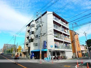 ブーゲンビリアの画像