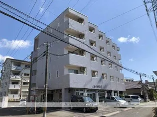 ベアレントの画像