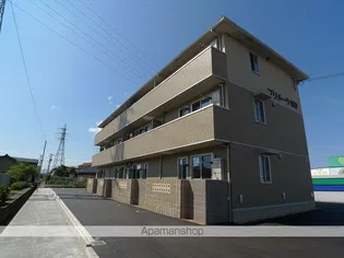 プリメーラの画像