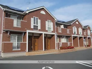 プリムローズの画像