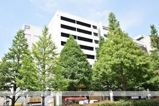 レナート広瀬通【8階】の外観