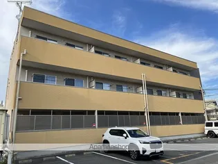 サニーの画像