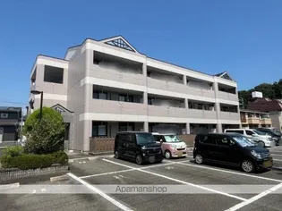 サンタモニカ 長良の画像