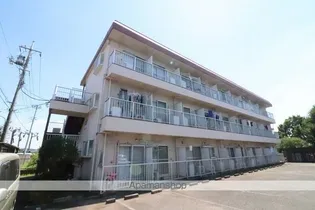 セントラルムサシの画像