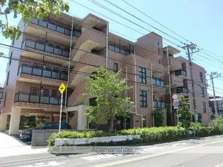 エスペランサの画像