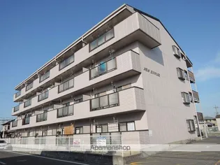 ニューサンライズの画像