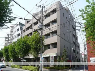 エルカスティージョ ムサシ【3階】の外観