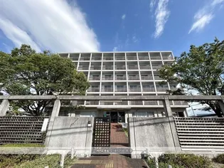 エルベコート泉大津の画像