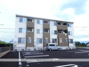 チェリーブロッサムの画像
