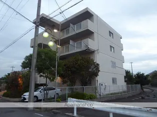 エクセレント悦の画像