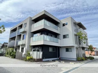 シャリテ堀川小泉の画像