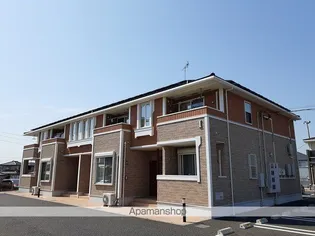 カリーノの画像