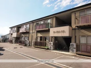 サープラスももの画像