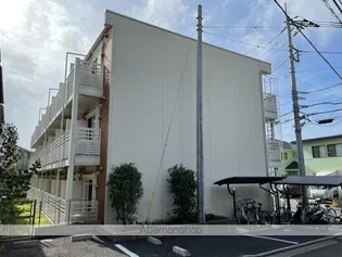 レオネクストユーカリの画像