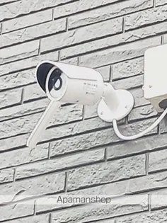 ステラートA【2階】のその他画像