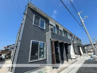 アジュマリーの画像