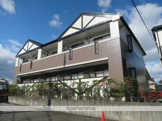 シャローゼの画像