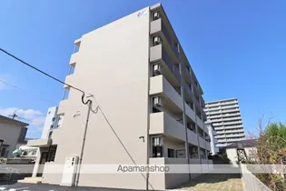 DAG AVANTIの画像
