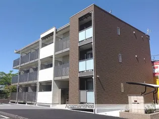 ミランダ長須賀の画像