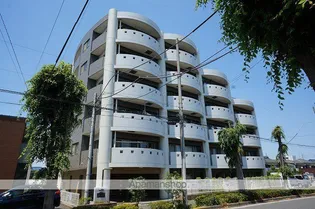 フォルシュTの画像