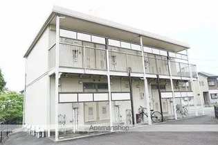 アスターBの画像