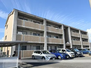 サニー ヴィレの画像