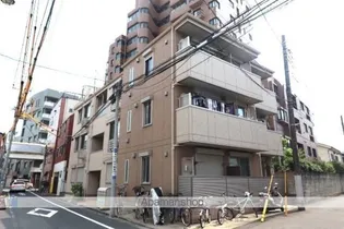ステラカーサの画像