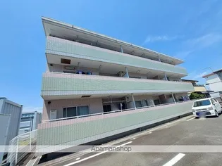 コスモスB Cの画像