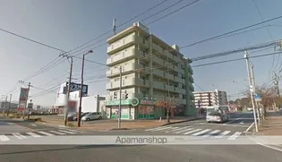 エヴァーグリーンの画像