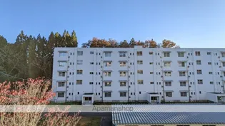 ビレッジハウス梅田4号棟【506号室】のその他画像